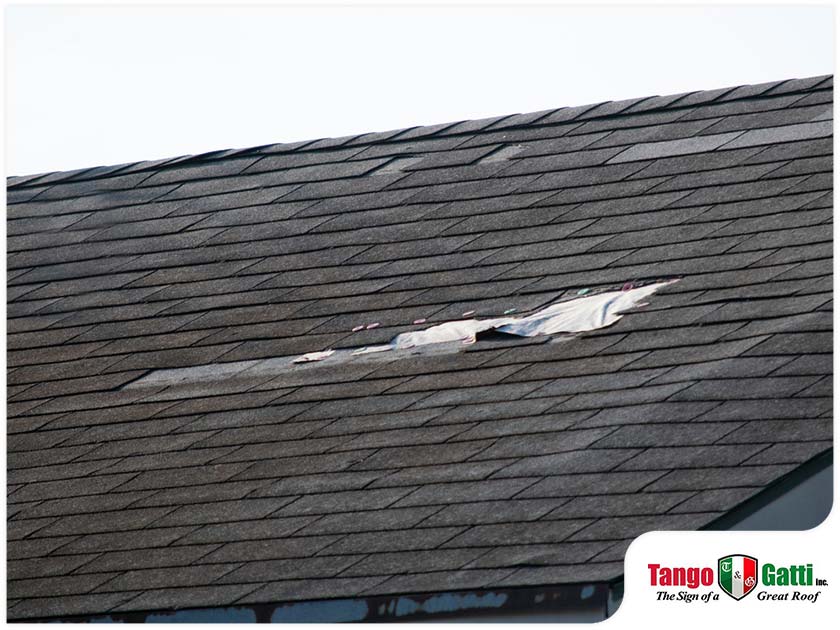 4 Signs of Roof Damage That Are Easy to Miss